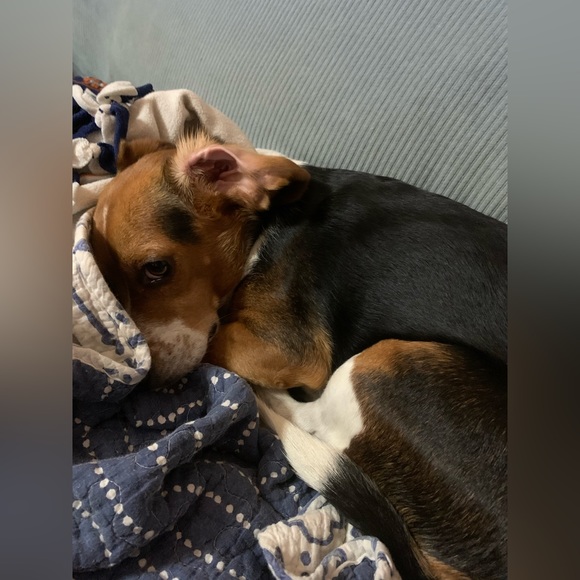 Meet your Posher, Melanie - Picture 1 of 1